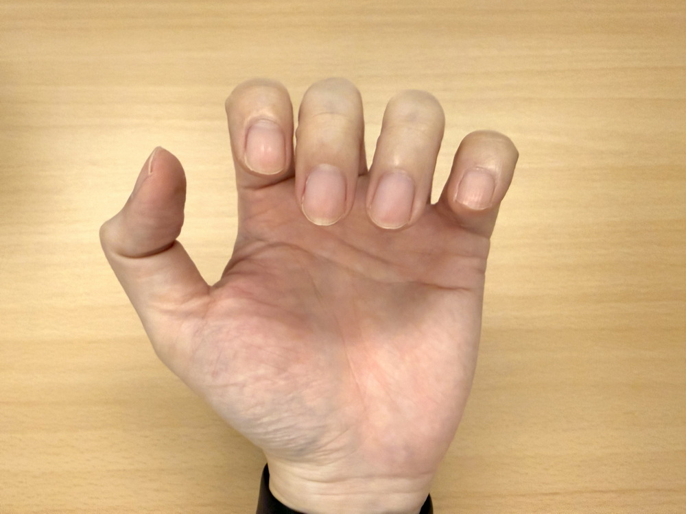 Mego�C���ˬd���Ҩíװ�